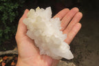 Natural Quartz Clusters x 8 From Madagascar - Toprock Gemstones and Minerals 