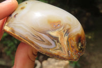 Polished On One Side Dendritic Agate x 6 From Madagascar - Toprock Gemstones and Minerals 