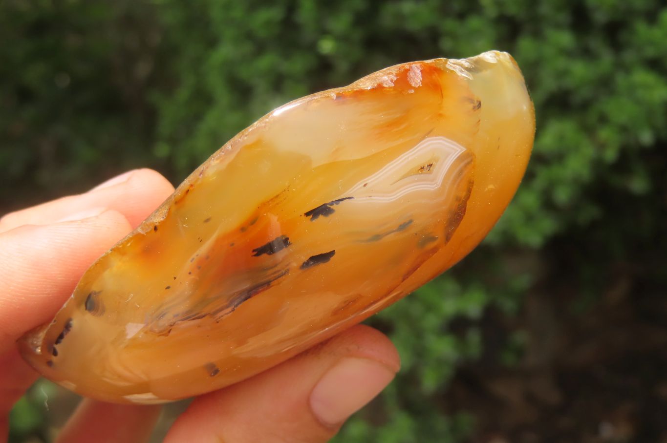 Polished On One Side Dendritic Agate x 6 From Madagascar - Toprock Gemstones and Minerals 