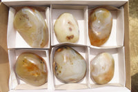 Polished On One Side Dendritic Agate x 6 From Madagascar - Toprock Gemstones and Minerals 