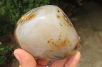 Polished On One Side Dendritic Agate x 6 From Madagascar - Toprock Gemstones and Minerals 