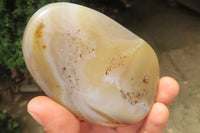 Polished On One Side Dendritic Agate x 6 From Madagascar - Toprock Gemstones and Minerals 