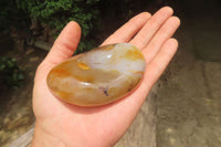 Polished On One Side Dendritic Agate x 6 From Madagascar - Toprock Gemstones and Minerals 
