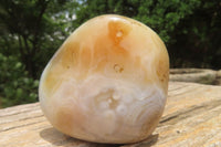 Polished On One Side Dendritic Agate x 6 From Madagascar - Toprock Gemstones and Minerals 