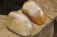 Polished On One Side Dendritic Agate x 6 From Madagascar - Toprock Gemstones and Minerals 