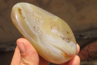 Polished On One Side Dendritic Agate x 6 From Madagascar - Toprock Gemstones and Minerals 