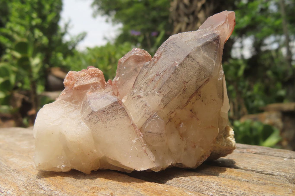 Natural Red Hematoid Quartz Clusters x 6 From Karoi, Zimbabwe - Toprock Gemstones and Minerals 