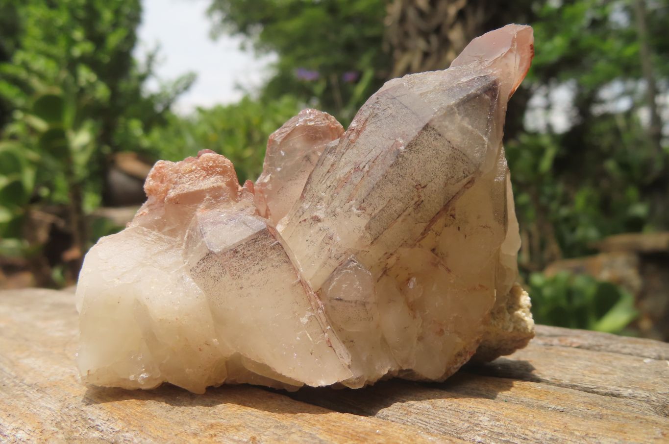 Natural Red Hematoid Quartz Clusters x 6 From Karoi, Zimbabwe - Toprock Gemstones and Minerals 