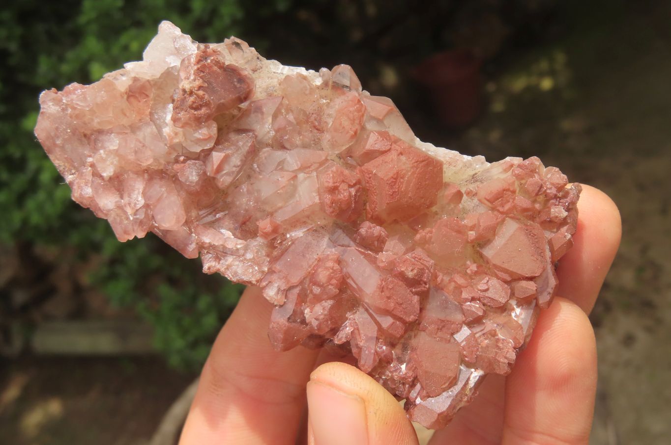 Natural Red Hematoid Quartz Clusters x 6 From Karoi, Zimbabwe - Toprock Gemstones and Minerals 