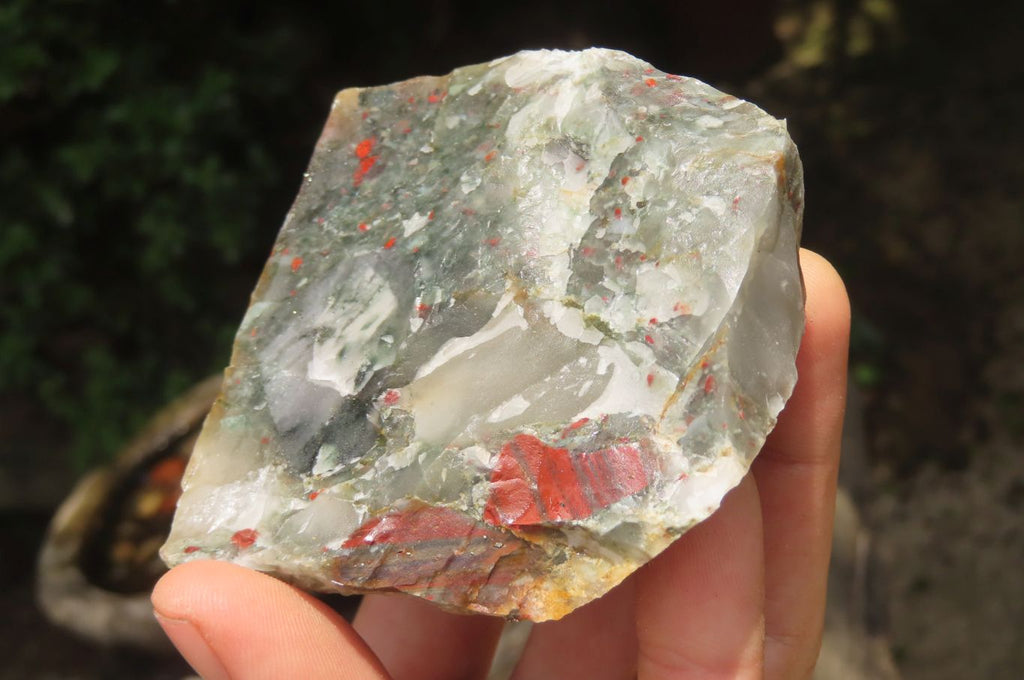 Natural Bloodstone Cobbed Specimens x 12 From Swaziland - Toprock Gemstones and Minerals 