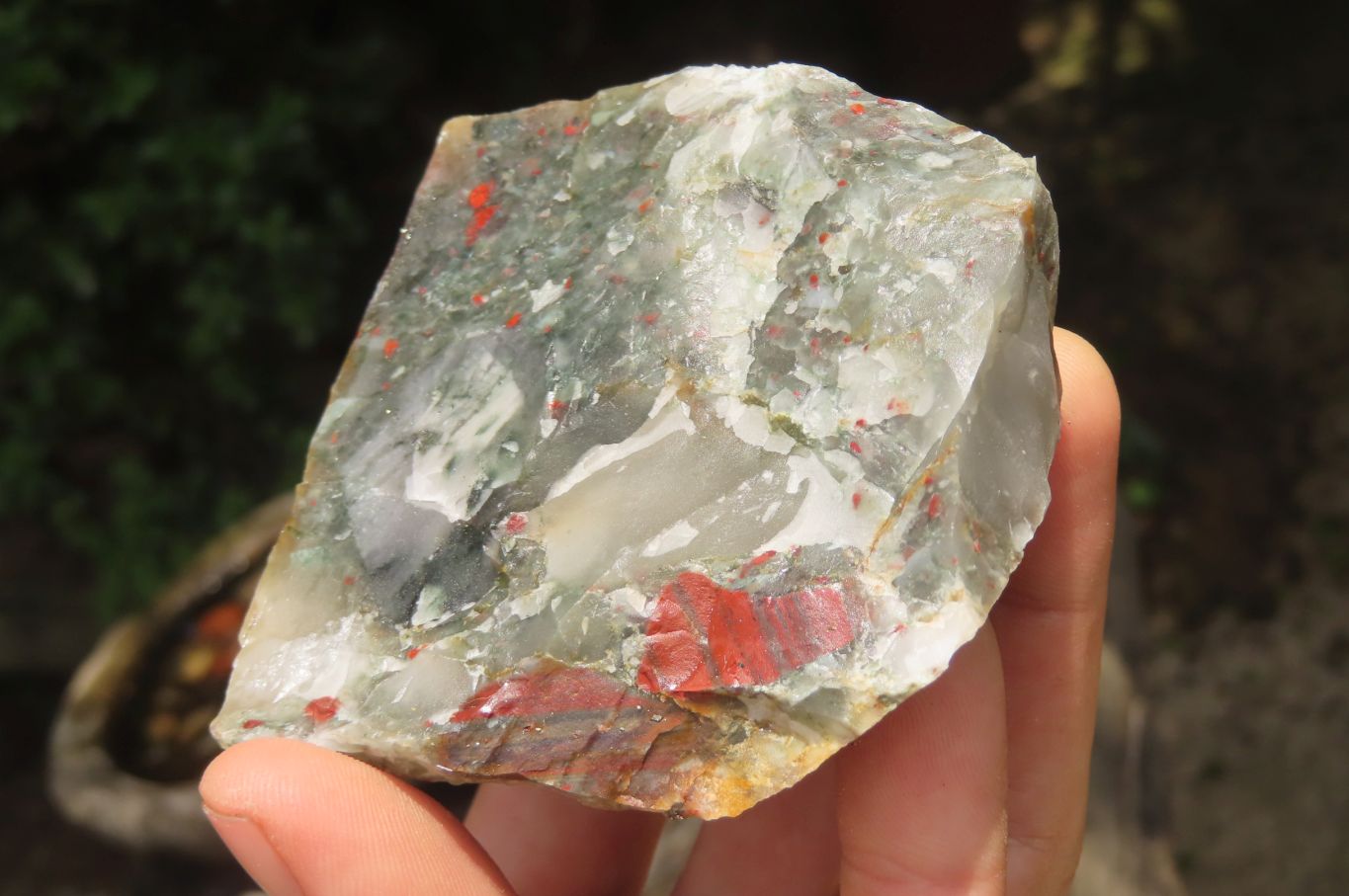 Natural Bloodstone Cobbed Specimens x 12 From Swaziland - Toprock Gemstones and Minerals 