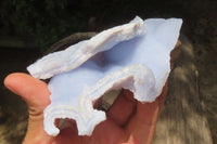 Natural Etched Blue Chalcedony Specimens x 4 From Nsanje, Malawi - Toprock Gemstones and Minerals 