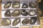 Polished Pharaoh Stone Free Forms x 12 From Zimbabwe - Toprock Gemstones and Minerals 