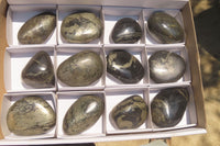 Polished Pharaoh Stone Free Forms x 12 From Zimbabwe - Toprock Gemstones and Minerals 