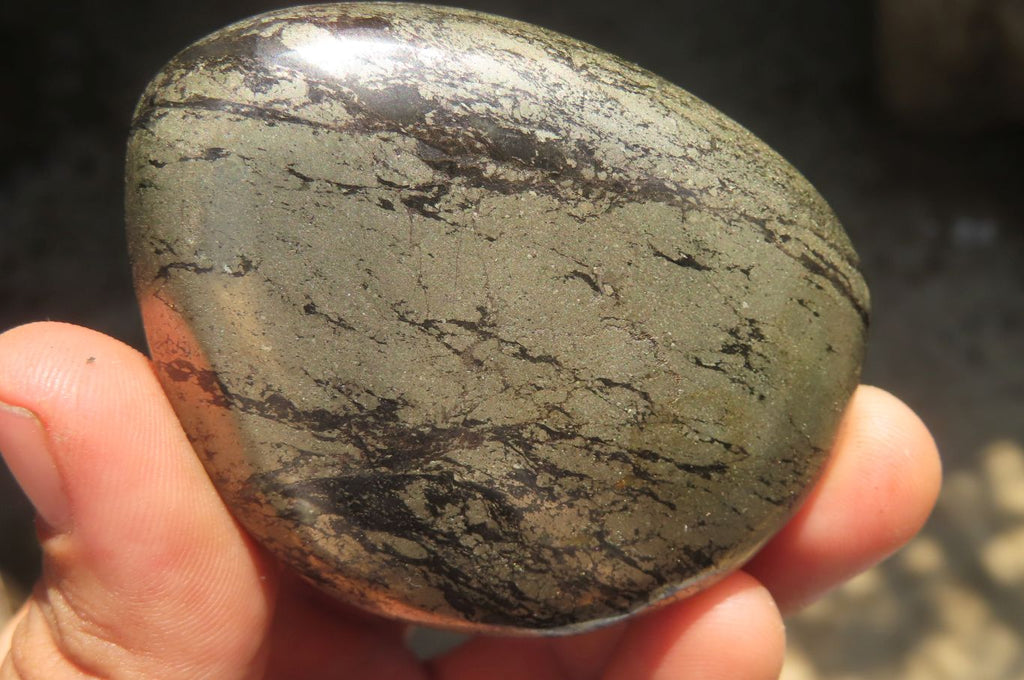 Polished Pharaoh Stone Free Forms x 12 From Zimbabwe - Toprock Gemstones and Minerals 