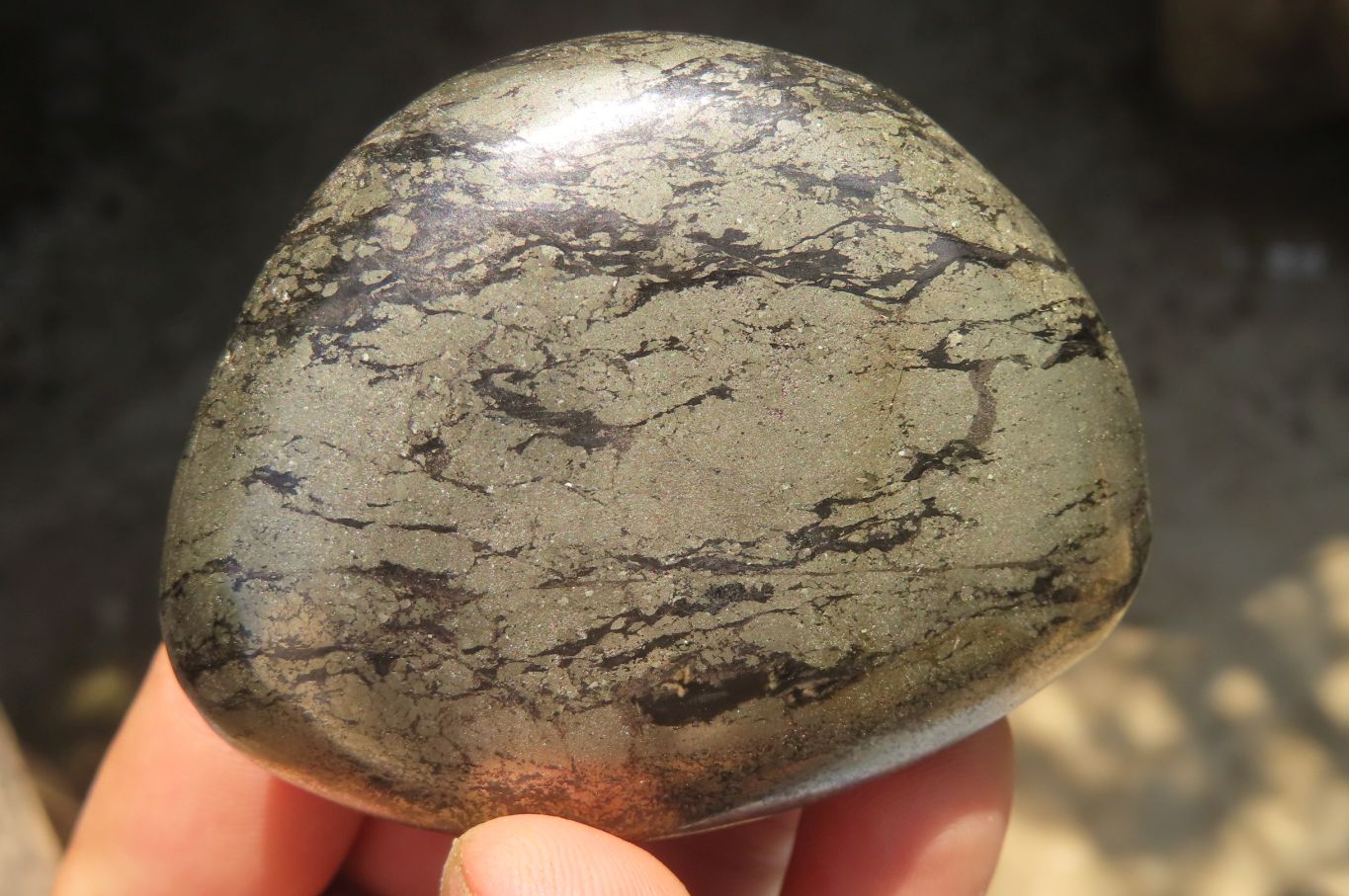 Polished Pharaoh Stone Free Forms x 12 From Zimbabwe - Toprock Gemstones and Minerals 