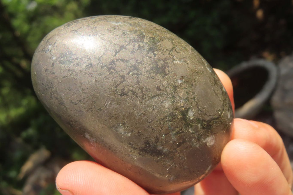 Polished Pharaoh Stone Free Forms x 12 From Zimbabwe - Toprock Gemstones and Minerals 