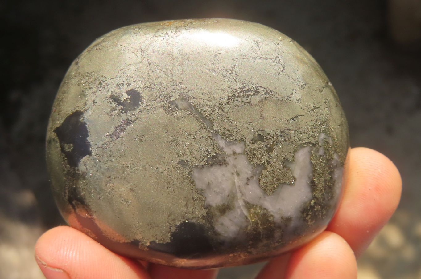 Polished Pharaoh Stone Free Forms x 12 From Zimbabwe - Toprock Gemstones and Minerals 