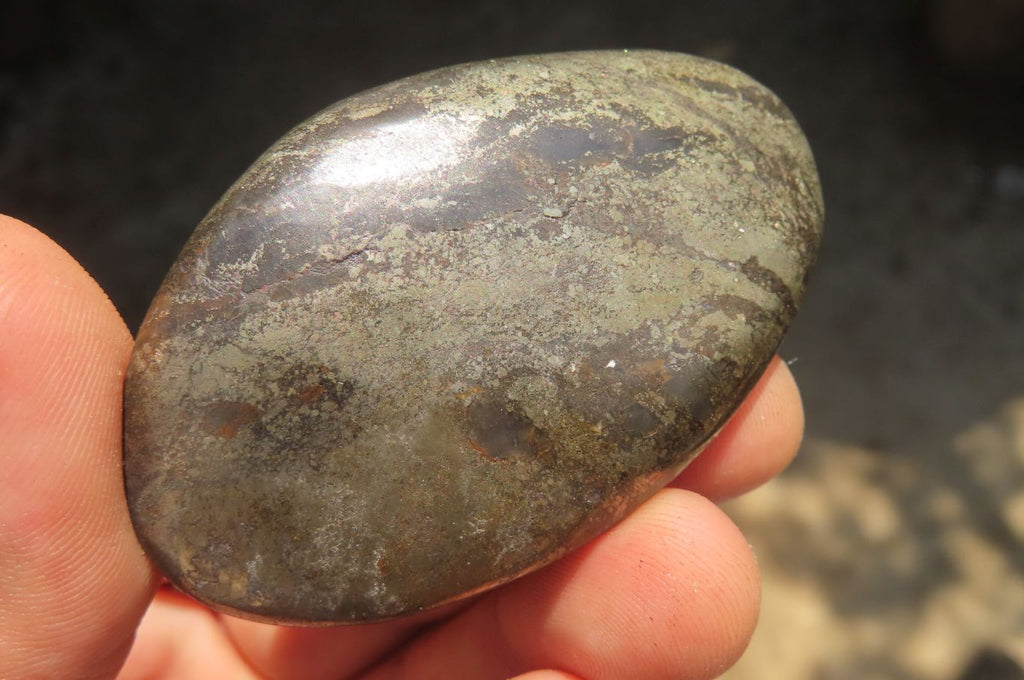 Polished Pharaoh Stone Free Forms x 12 From Zimbabwe - Toprock Gemstones and Minerals 