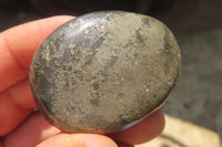 Polished Pharaoh Stone Free Forms x 12 From Zimbabwe - Toprock Gemstones and Minerals 