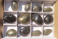 Polished Pharaoh Stone Free Forms x 12 From Zimbabwe - Toprock Gemstones and Minerals 