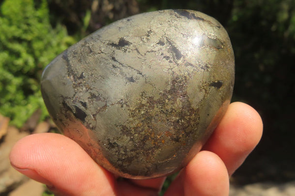 Polished Pharaoh Stone Free Forms x 12 From Zimbabwe - Toprock Gemstones and Minerals 