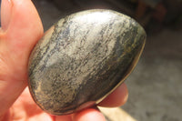 Polished Pharaoh Stone Free Forms x 12 From Zimbabwe - Toprock Gemstones and Minerals 