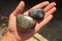 Polished Pharaoh Stone Free Forms x 12 From Zimbabwe - Toprock Gemstones and Minerals 