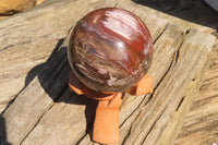 Polished Podocarpus Petrified Wood Sphere x 1 From Mahajanga, Madagascar - Toprock Gemstones and Minerals 