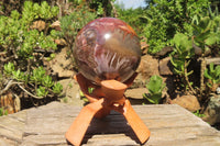 Polished Podocarpus Petrified Wood Sphere x 1 From Mahajanga, Madagascar - Toprock Gemstones and Minerals 