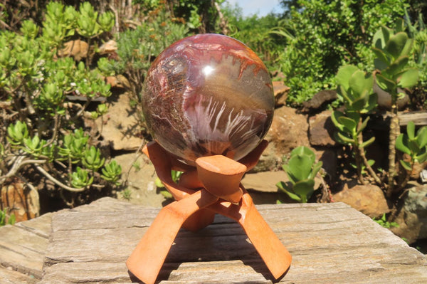 Polished Podocarpus Petrified Wood Sphere x 1 From Mahajanga, Madagascar - Toprock Gemstones and Minerals 
