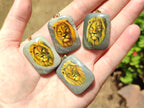 Polished Polychrome Jasper Pendant with Hand Painted Lion - sold per item - From Madagascar - Toprock Gemstones and Minerals 