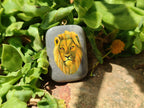 Polished Polychrome Jasper Pendant with Hand Painted Lion - sold per item - From Madagascar - Toprock Gemstones and Minerals 