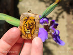 Polished Picture Stone Pendant with Hand Painted Lion - Sold Per Item - From Namibia - Toprock Gemstones and Minerals 