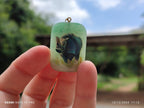 Polished Aventurine Pendant with Hand Painted Rhino - Sold Per Item - From Zimbabwe - Toprock Gemstones and Minerals 
