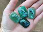 Polished Aventurine Pendant with Hand Painted Dolphin - Sold Per Item - From Zimbabwe - Toprock Gemstones and Minerals 