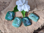 Polished Aventurine Pendant with Hand Painted Dolphin - Sold Per Item - From Zimbabwe - Toprock Gemstones and Minerals 