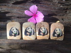 Polished Polychrome Jasper Pendant with Hand Painted Panda - sold per item - From Madagascar - Toprock Gemstones and Minerals 