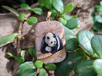 Polished Picture Stone Pendant with Hand Painted Panda- Sold Per Item - From Namibia