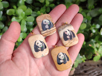 Polished Picture Stone Pendant with Hand Painted Panda- Sold Per Item - From Namibia