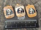 Polished Picture Stone Pendant with Hand Painted Panda- Sold Per Item - From Namibia - Toprock Gemstones and Minerals 