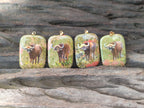Polished Unakite Pendant with Hand Painted Buffalo - Sold Per Item - From South Africa - Toprock Gemstones and Minerals 