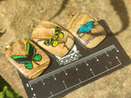 Polished Picture Stone Pendant with Hand Painted Butterfly - Sold Per Item - From Namibia - Toprock Gemstones and Minerals 