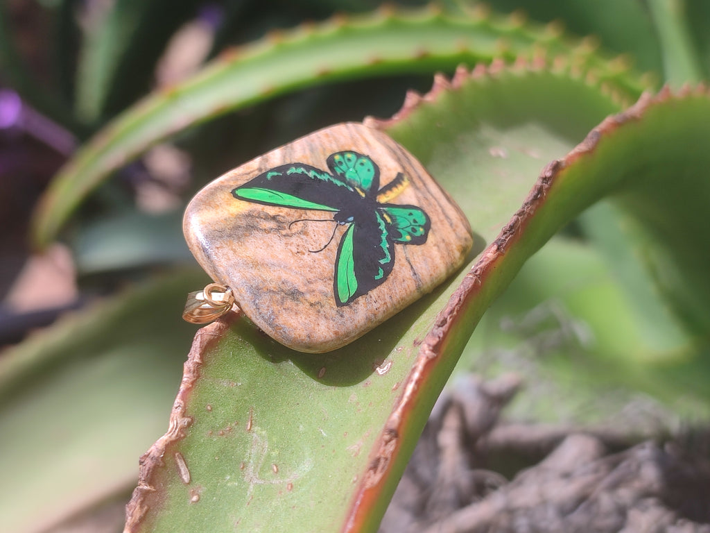 Polished Picture Stone Pendant with Hand Painted Butterfly - Sold Per Item - From Namibia - Toprock Gemstones and Minerals 