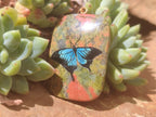 Polished Unakite Pendant with Hand Painted Butterfly - Sold Per Item - From South Africa - Toprock Gemstones and Minerals 