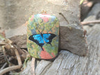 Polished Unakite Pendant with Hand Painted Butterfly - Sold Per Item - From South Africa - Toprock Gemstones and Minerals 