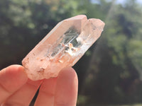 Natural Clear Quartz Crystals x 35 From Zambia - Toprock Gemstones and Minerals 