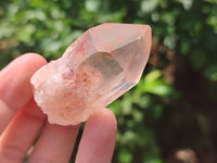 Natural Clear Quartz Crystals x 35 From Zambia - Toprock Gemstones and Minerals 