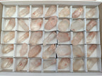 Natural Clear Quartz Crystals x 35 From Zambia - Toprock Gemstones and Minerals 