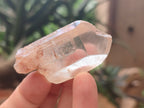 Natural Clear Quartz Crystals x 35 From Zambia - Toprock Gemstones and Minerals 